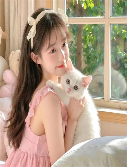 独特的发现《辛巴达与哈里发》：未被注意的细节与意义